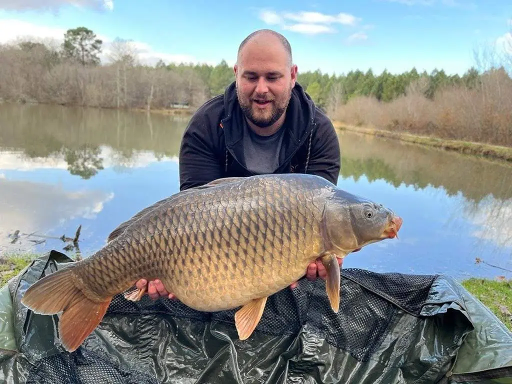 Pêcheur tenant une grosse carpe
